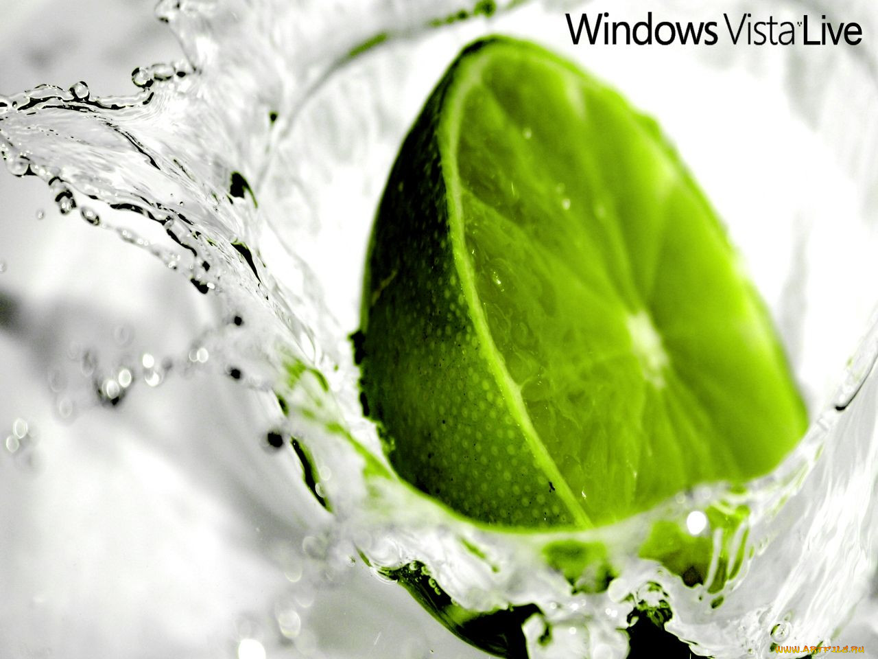 , windows, vista, longhorn